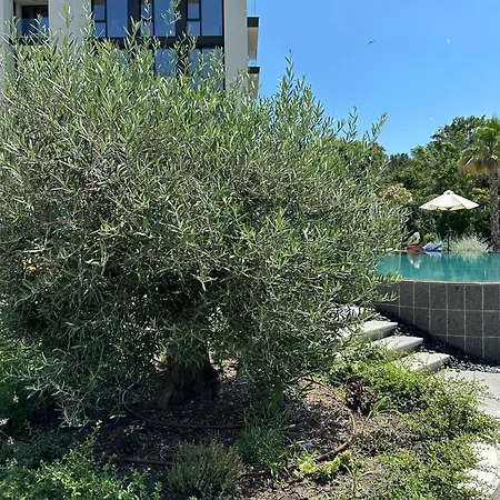 Apartment Elinor - 3 *
